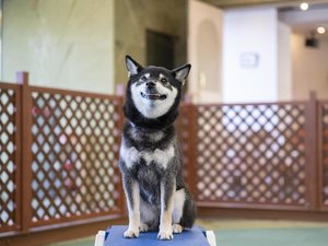 屋内プレイスペースでにこにこ