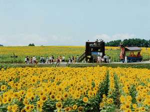 �y�k�C��:�Ύ�E��m�E��΁z�T���t�����[�p�[�N�z�e���k������