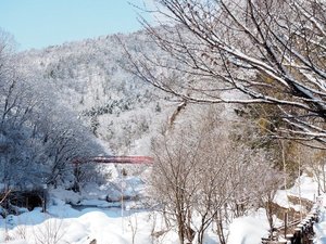 真っ白な雪の中、赤い橋がひときわ目を引く二見吊橋