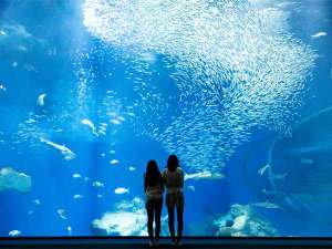 アクアワールド大洗水族館
