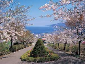 手宮公園(春)
