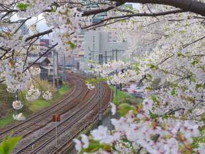 花園橋(春)