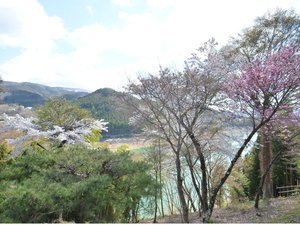 蔵やしき野の花畑の施設写真1