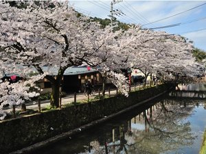 晴の城崎温泉街
