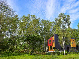 【北海道ニセコ・ルスツの貸し別荘・コテージ・ログハウス・コンドミニアム】グリーン茶草