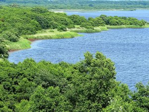 ウトナイ湖