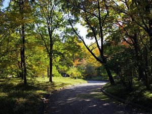 萩中公園