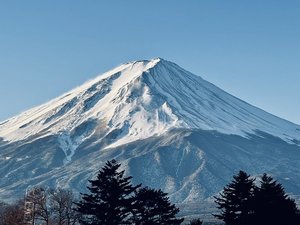 xm͌Ή@xmŘ鉷򗷊ف@rze̎ʐ^