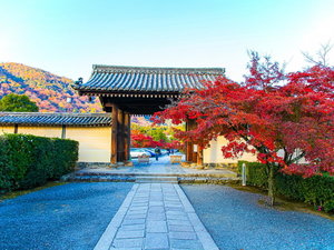 京都の秋 天龍寺中門