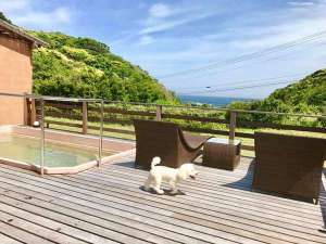 【静岡下田・白浜のペットと泊まれる宿】海宿 太陽人