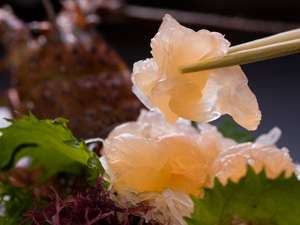 【愛知県:三河】恋路ヶ浜 黒潮