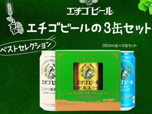 エチゴビールプラン。全国第一号地ビールとして有名なこちら。お部屋で味わうも良し、お土産にも良し。