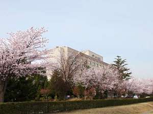 外観【桜の季節】桜並木があり、満開時は絶景です。