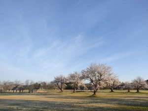 大湯環状列石は、鹿角市十和田大湯に所在する2つの環状列石を主体とする縄文時代後期の大規模な遺跡です。