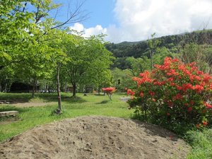 夏の奥日光