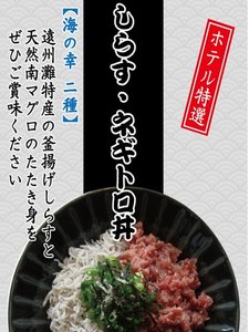 【しらす・ネギトロ丼】