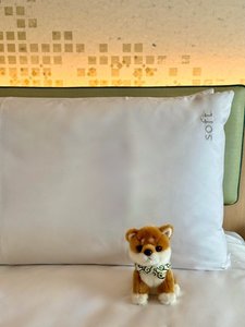 ホリデイ・イン京都五条のマスコットMochiのぬいぐるみ♪
