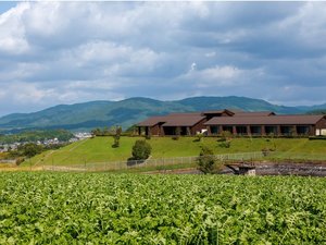 �n���_�Ƃ��񂪈�ގl�G���f�����̕��i�ƂƂ��ɁA�ޗǁE����̖L���Ȍb�݂������邲�؍݂����y���݂�������