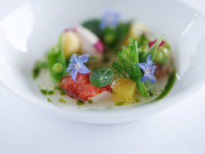 2026年夏メニュー前菜