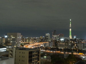 �ꕔ�̋q������̓X�J�C�c���[���������������܂���