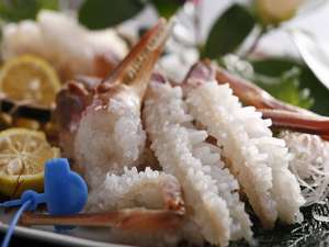 �W�O�O���̐^�O�t�����Ë��R�J�j�h���ł��B