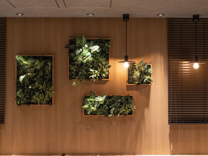 �S�n�悢���y������������Ԃ����o���܂�