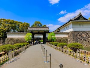 �y���ق���k��15���z�]�ˏ�̖{�ہE��̊ېՒn�B�L���Ȏ��R�Ɨ��j����������u�c�����䉑�v