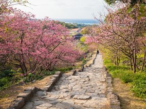 今帰仁城趾まで25分