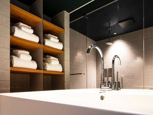 �y�~�P�[���E�f�E���b�L ���[���z�C�^���A���z�E�̋������肪�����������