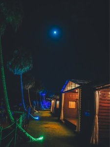 深夜のイルミネーションタイム