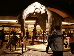 琵琶湖博物館ナイトミュージアム6