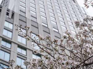 オービック御堂筋ビルと桜
