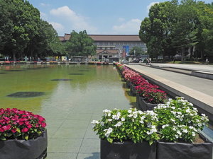 【上野恩賜公園】博物館や美術館、動物園など多くの芸術文化に親しむことができます。「写真提供:台東区」