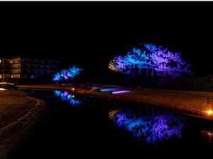 【水上庭園】夜はライトアップした夜景も楽しめる。