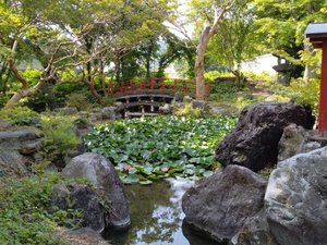 敷地内庭園