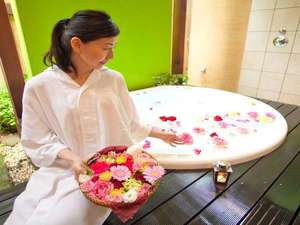 �y�ޗǌ�:�ޗǁE��a�S�R�zHotel Allamanda