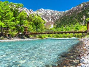 新緑の上高地・河童橋