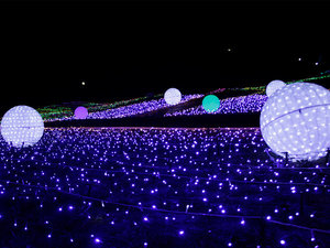 ܗ][g@ʂ̋iglhzeO[vj̎{ݎʐ^1