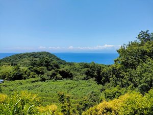 �R�K�̂���������̊C���i