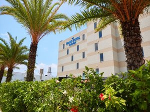 �y�{��/�O��(��)�z���}���`�b�N�Ȍ��ɕ�܂ꂽ��̊O�ρB���[�h���ӂ��G���g�����X�B