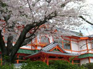 当館隣の武雄温泉楼門の桜