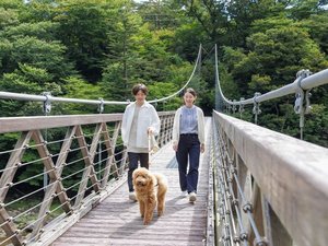七ッ岩吊橋 わんちゃんとのお散歩にも最適!〜当館から車で約5分〜