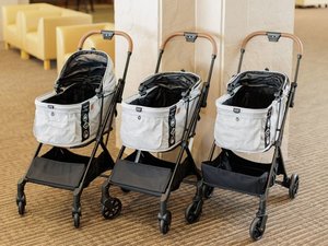 わんちゃん用カートもご用意しております♪