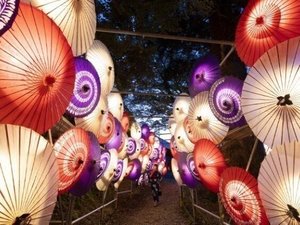 大献灯
