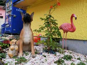 【千葉県木更津・君津・富津エリアの貸別荘・コテージ】サカヒジリホテル富津