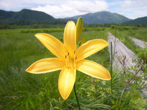 �����ˑq����@���b�W�܂���̎{�ݎʐ^1