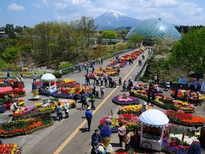 日本最大級のフラワーパーク とっとり花回廊はお車で約20分です。入園券付きのプランも販売しています。