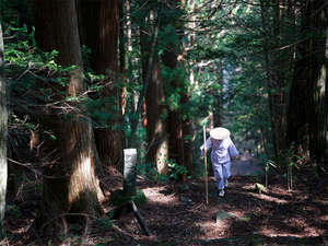 ◆御嶽山・古道遊歩 いにしえ人が辿った千年の山道を踏みしめ、心身の蘇りを体験する。
