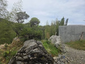 �i��