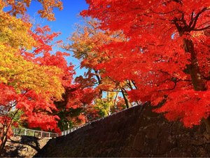 【当館から徒歩約8分】桜や紅葉の名所として知られる盛岡のシンボル「盛岡城跡公園(岩手公園)」
